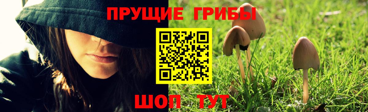 Можга  Псилоцибиновые грибы GOLDEN TEACHER  Галлюциногенные грибы Psilocybe  Вход с VPN 