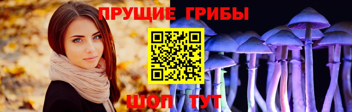 Кодеин  A-PVP СК   Вход с VPN  Каннабис  Мефедрон кристаллы  Купить наркоту  Канабис  Можга  Cocaine 